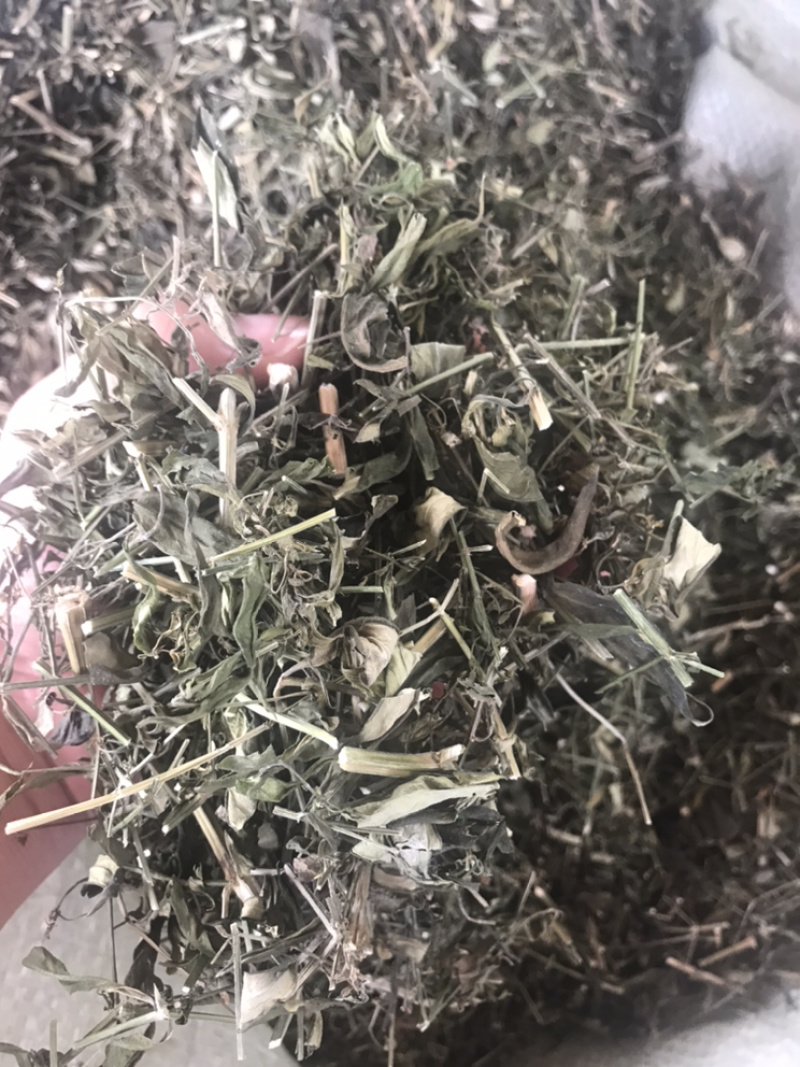 特优供应穿心莲（中药材穿心莲切段干货）产地发货