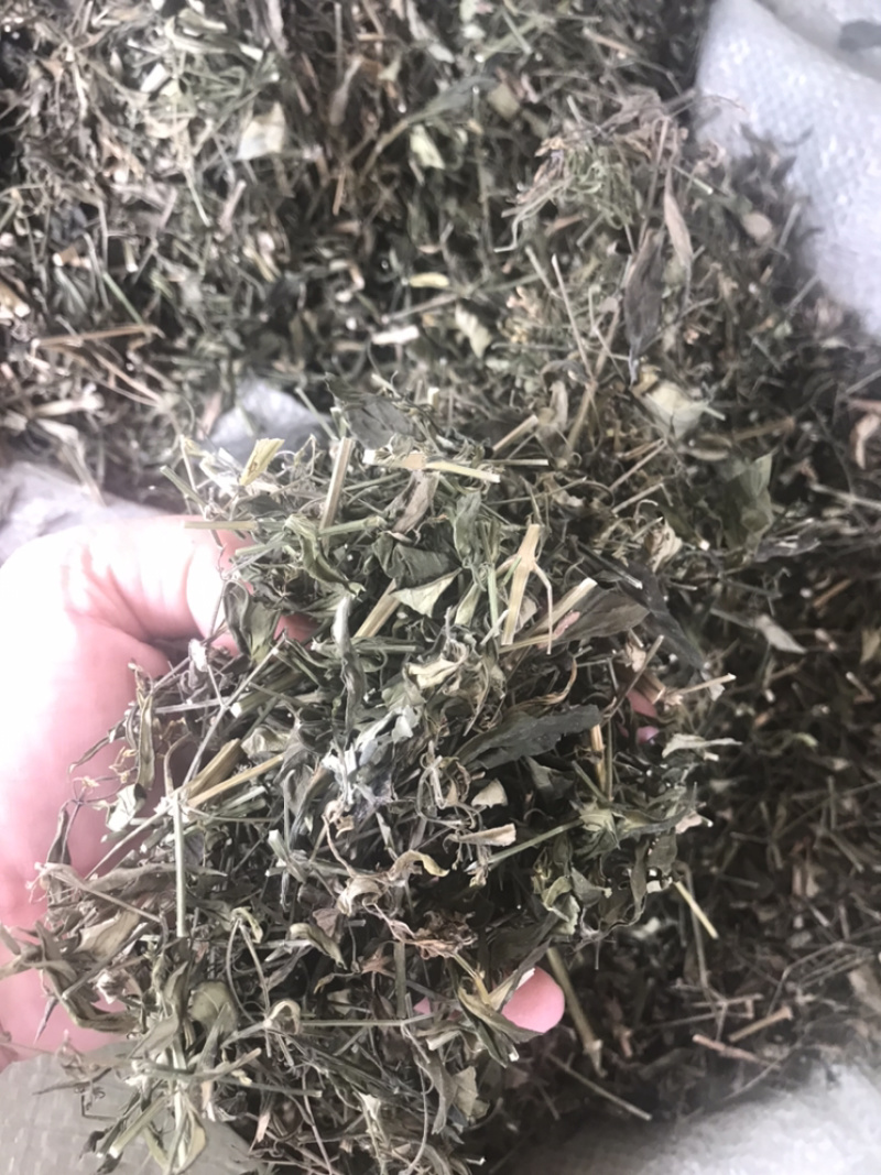 特优供应穿心莲（中药材穿心莲切段干货）产地发货