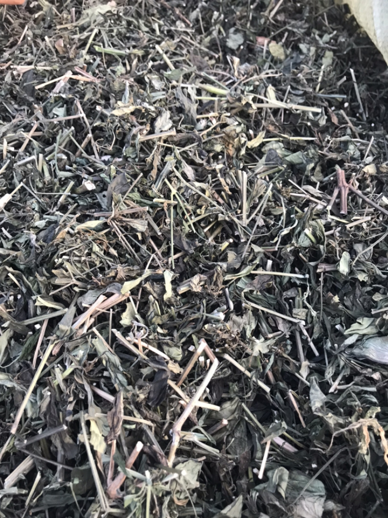 特优供应穿心莲（中药材穿心莲切段干货）产地发货