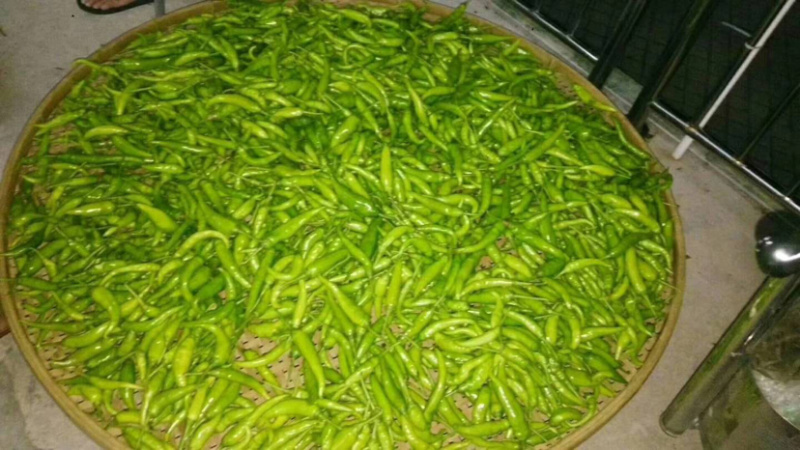 农家手工制作的酸辣椒，可直接食用或者炒着吃