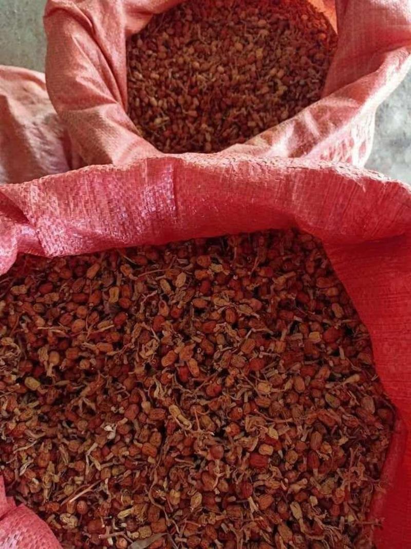 云南自家栽的山姜籽，也叫辣姜籽，红寇