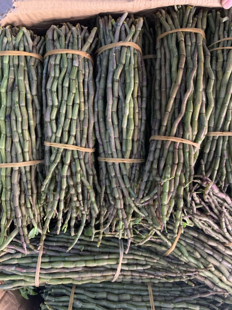 铁皮石斛鲜条，基地直销、现剪现发、条粗，胶质好