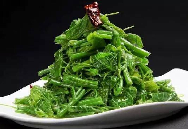 龙须菜佛手瓜尖批发基地直批一天能出500一1000斤