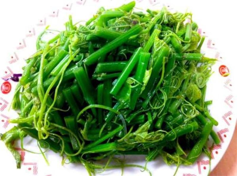 龙须菜佛手瓜尖批发基地直批一天能出500一1000斤