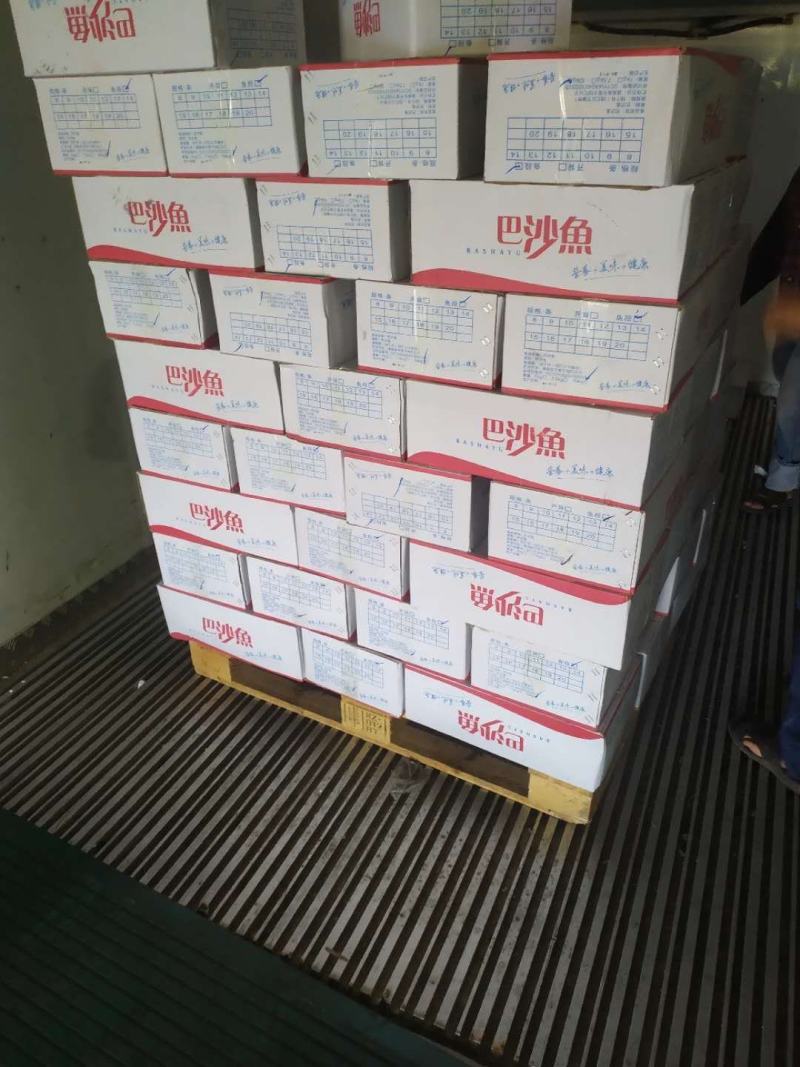 巴沙鱼段低价处理量大从优，团餐对接，食堂，快餐店专用
