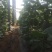 山东潍坊产地大量西州蜜25.产地直发，电商批发市场