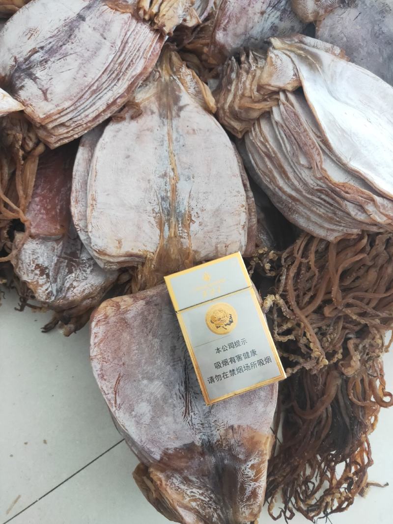 朝鲜大OK56两鱿鱼干