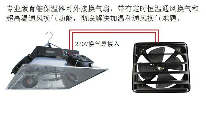 新款育雏保温器保温伞养殖加温鸡苗脱温设备红外线保