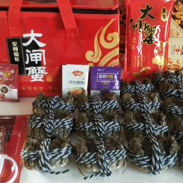 礼盒正宗固城湖大闸蟹蟹农直达精养塘口品质好