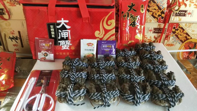 礼盒正宗固城湖大闸蟹蟹农直达精养塘口品质好