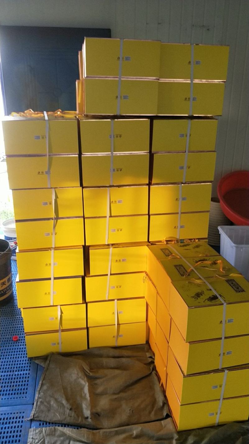 礼盒正宗固城湖大闸蟹蟹农直达精养塘口品质好