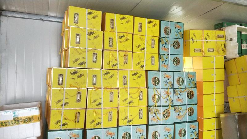 礼盒正宗固城湖大闸蟹蟹农直达精养塘口品质好