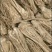 甘肃岷县整根原产地当归条物流全当归可开片