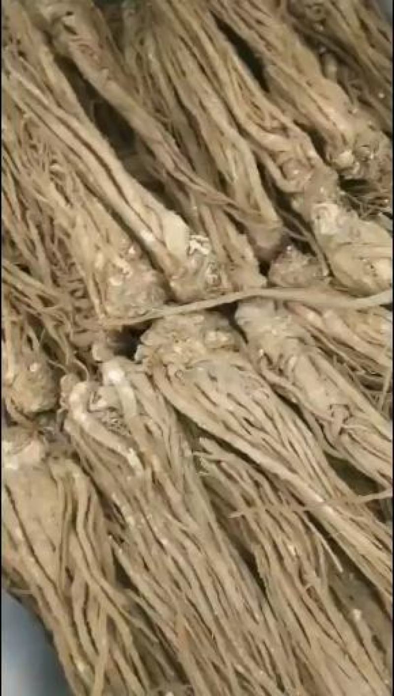 甘肃岷县整根原产地当归条物流全当归可开片