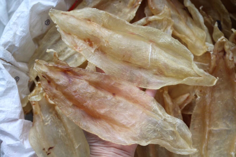 10头苏里南北海母开片鱼胶花胶批发代发送礼礼盒