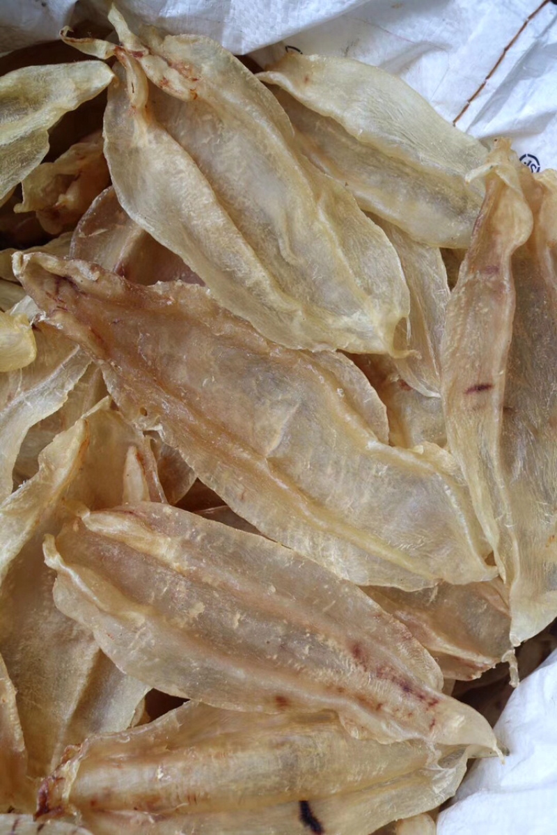 10头苏里南北海母开片鱼胶花胶批发代发送礼礼盒