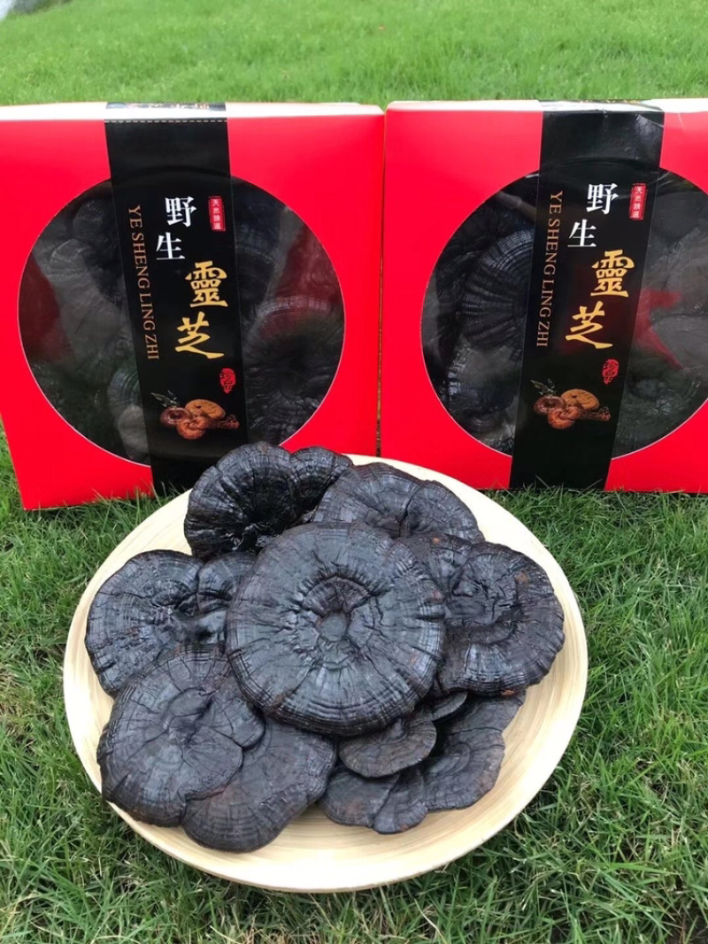 黑灵芝礼盒礼袋装250克