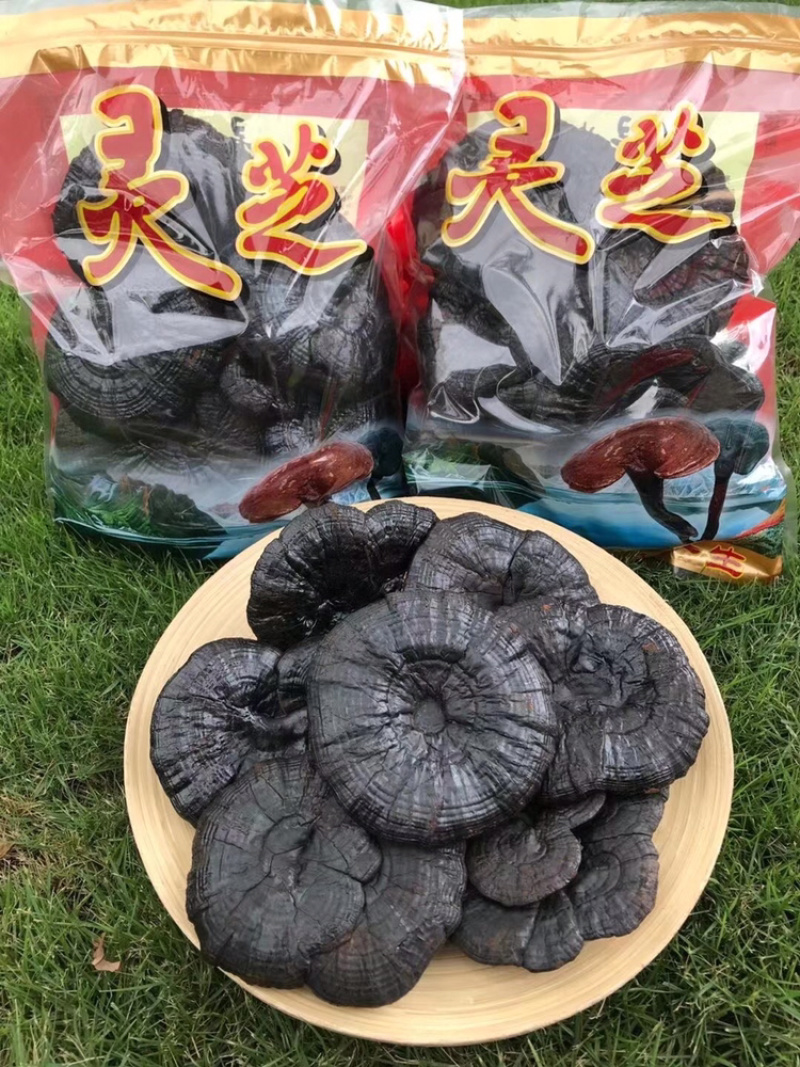 黑灵芝礼盒礼袋装250克