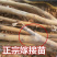 黑柿子嫁接柿子苗基地直销现挖现卖量大从优