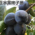 黑柿子嫁接柿子苗基地直销现挖现卖量大从优