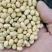 湖北黄豆冀豆中黄系列大量上市蛋白高水份低