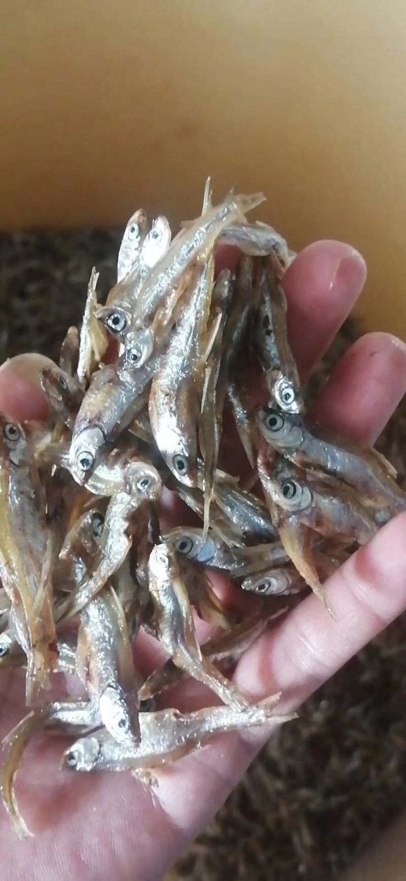 油炸河鱼白肖叼子翘嘴