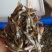 油炸河鱼白肖叼子翘嘴