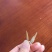 油炸河鱼白肖叼子翘嘴