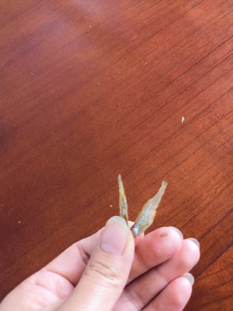 油炸河鱼白肖叼子翘嘴