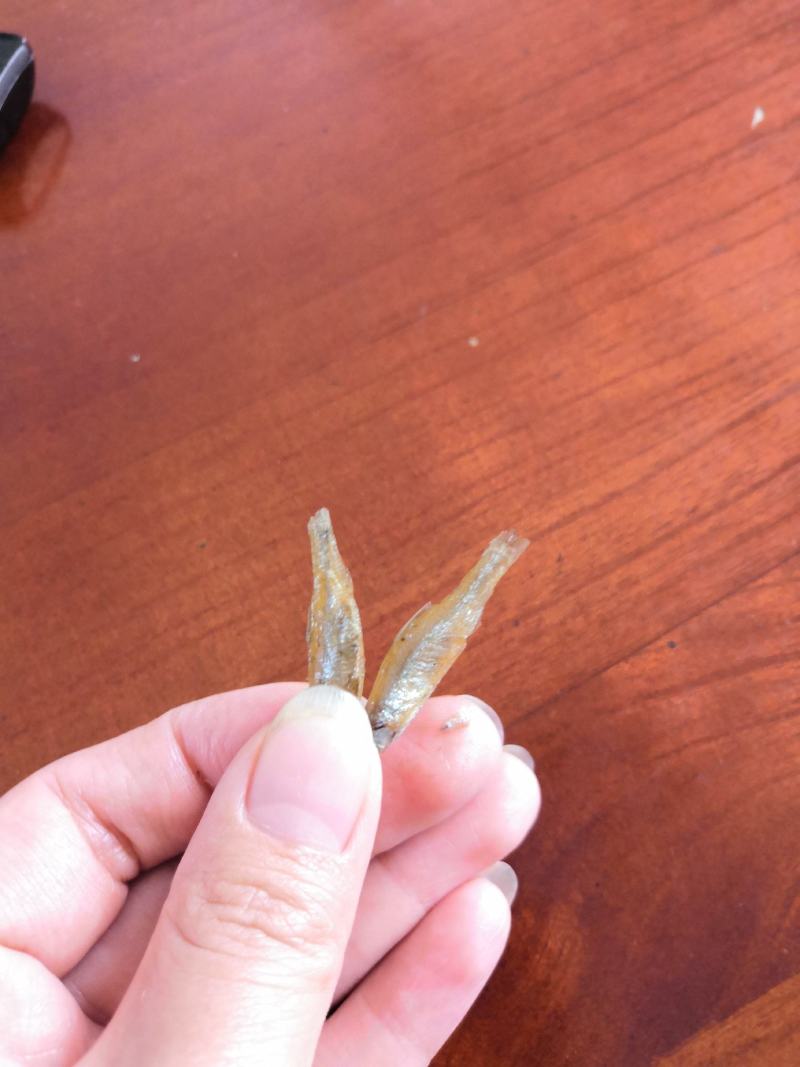 油炸河鱼白肖叼子翘嘴
