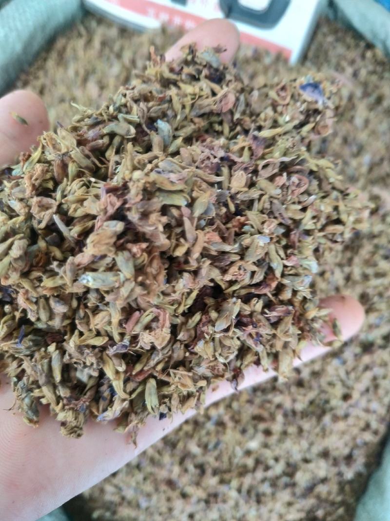 葛花～～新货～量大优惠～1公斤起售～欢迎咨询采购