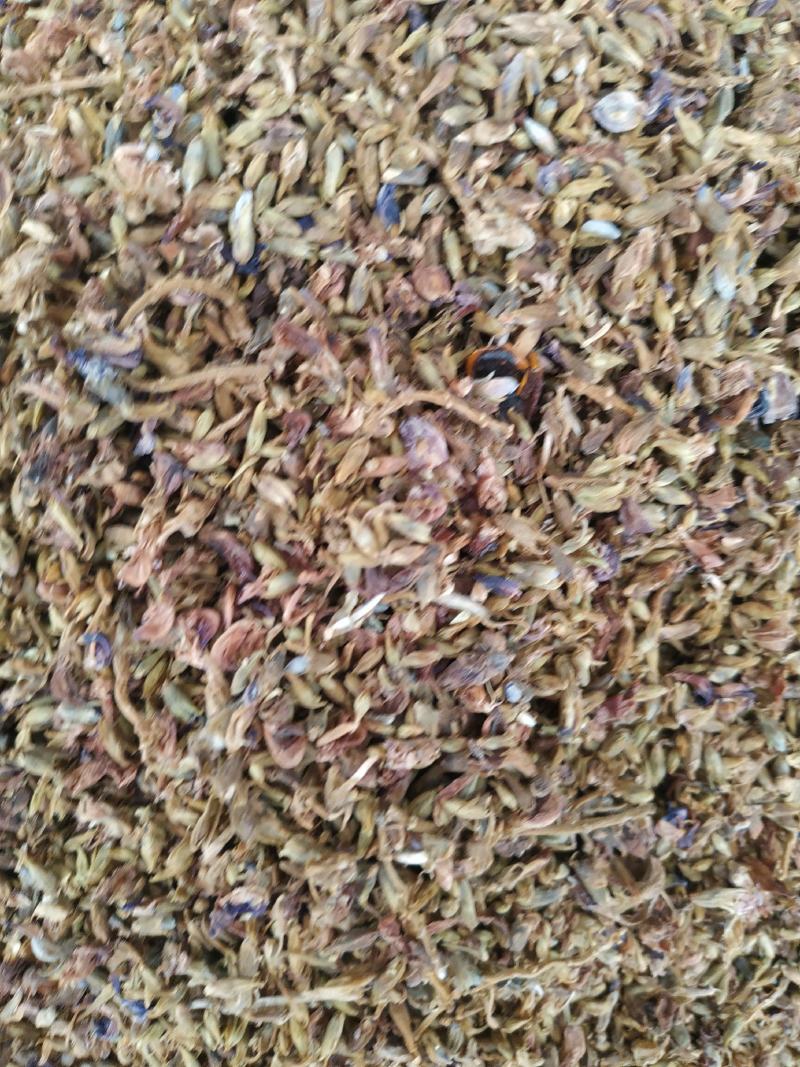 葛花～～新货～量大优惠～1公斤起售～欢迎咨询采购