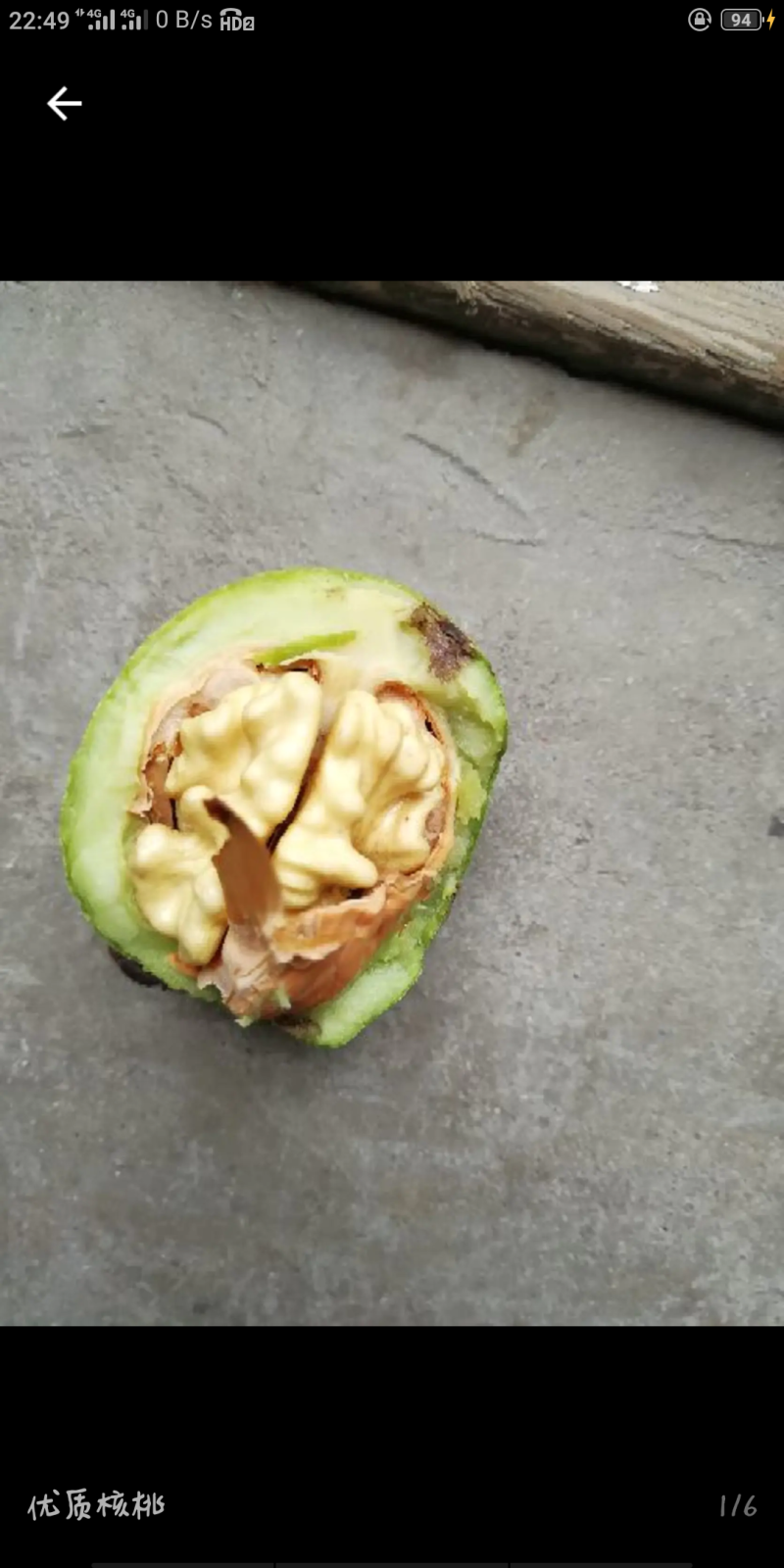 石家庄产地直发，去皮鲜核桃，一手货源。货源充足。