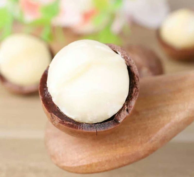 批发【夏威夷果】香脆可口夏中大果整箱10斤装精品批发