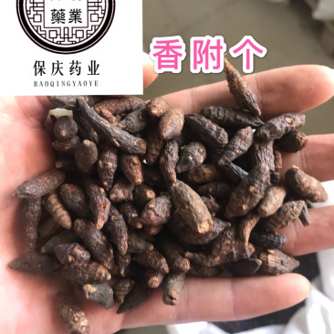 香附香附个香附片制香附片醋香附保庆药业批发香附子