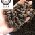 香附香附个香附片制香附片醋香附保庆药业批发香附子