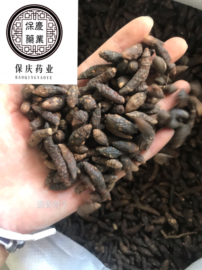 香附香附个香附片制香附片醋香附保庆药业批发香附子