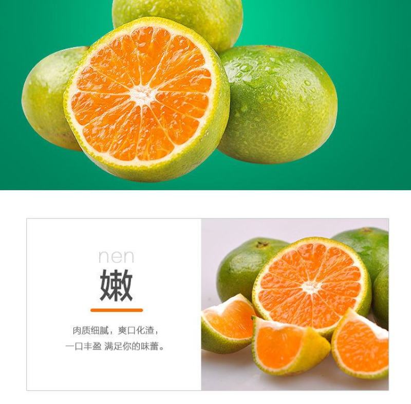 包邮蜜桔新鲜橘子薄皮孕妇水果柑橘早熟桔子批发多仓发货