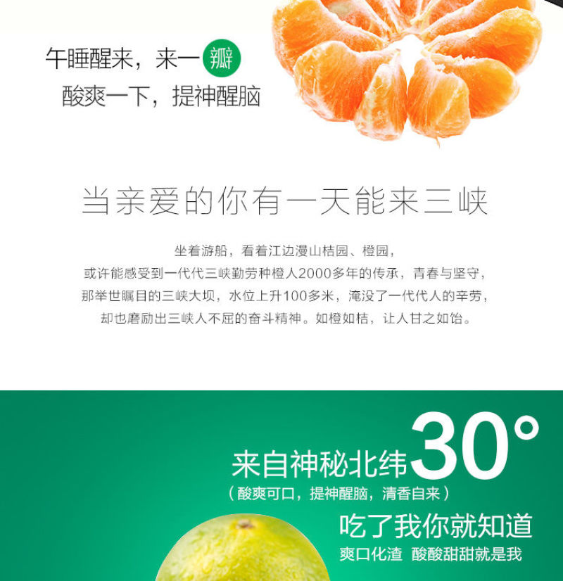 包邮蜜桔新鲜橘子薄皮孕妇水果柑橘早熟桔子批发多仓发货