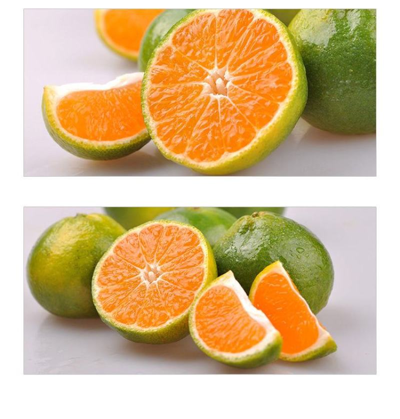 包邮蜜桔新鲜橘子薄皮孕妇水果柑橘早熟桔子批发多仓发货