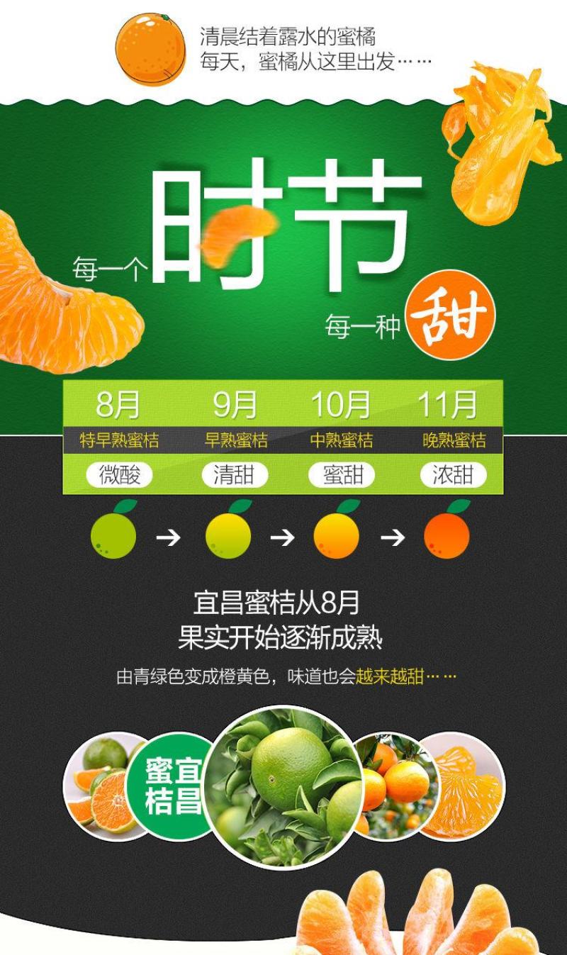 包邮蜜桔新鲜橘子薄皮孕妇水果柑橘早熟桔子批发多仓发货
