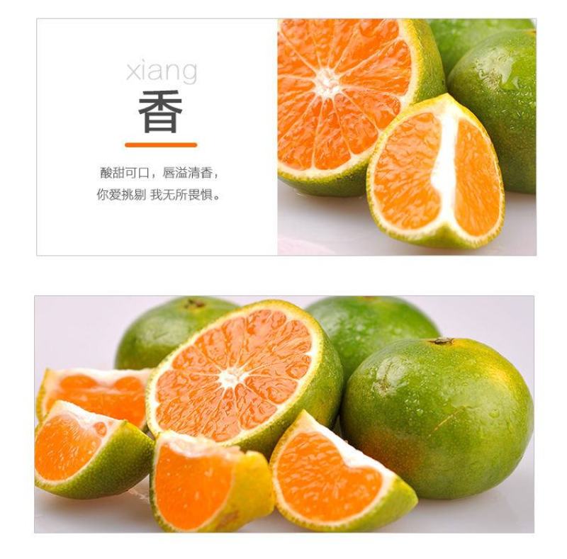 包邮蜜桔新鲜橘子薄皮孕妇水果柑橘早熟桔子批发多仓发货