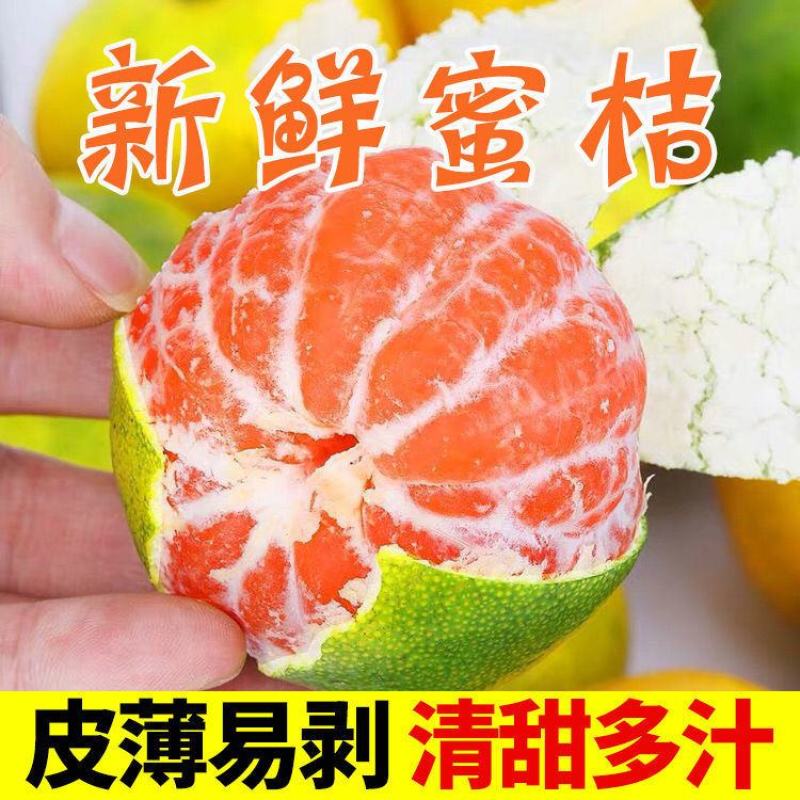 包邮蜜桔新鲜橘子薄皮孕妇水果柑橘早熟桔子批发多仓发货