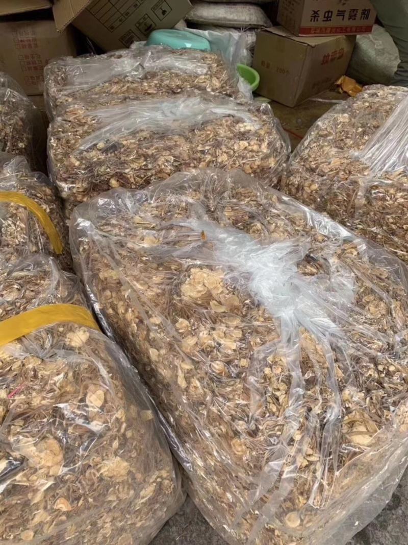 茶树菇，金针菇跑地江湖摊展销，好货好质量支持看货支持