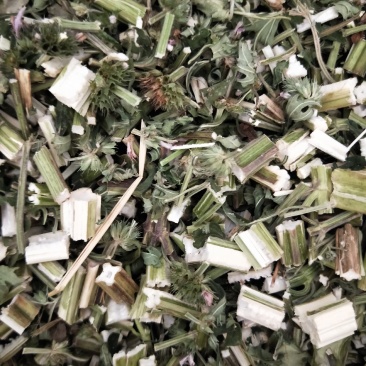 益母草，新货益母草无杂质，品质保证，量大从优，产地直销