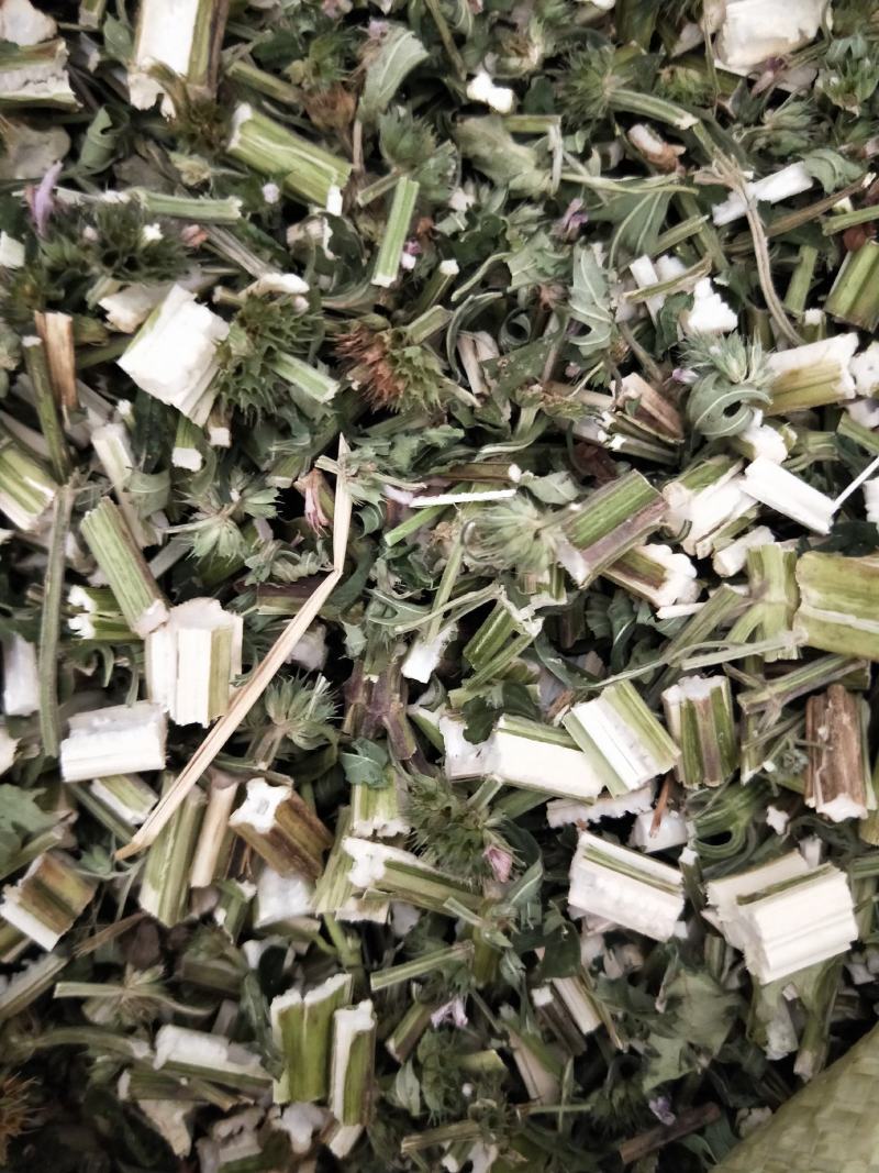 益母草，新货益母草无杂质，品质保证，量大从优，产地直销