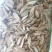 精选优质指甲片黄芪，批发各种中药量大从优