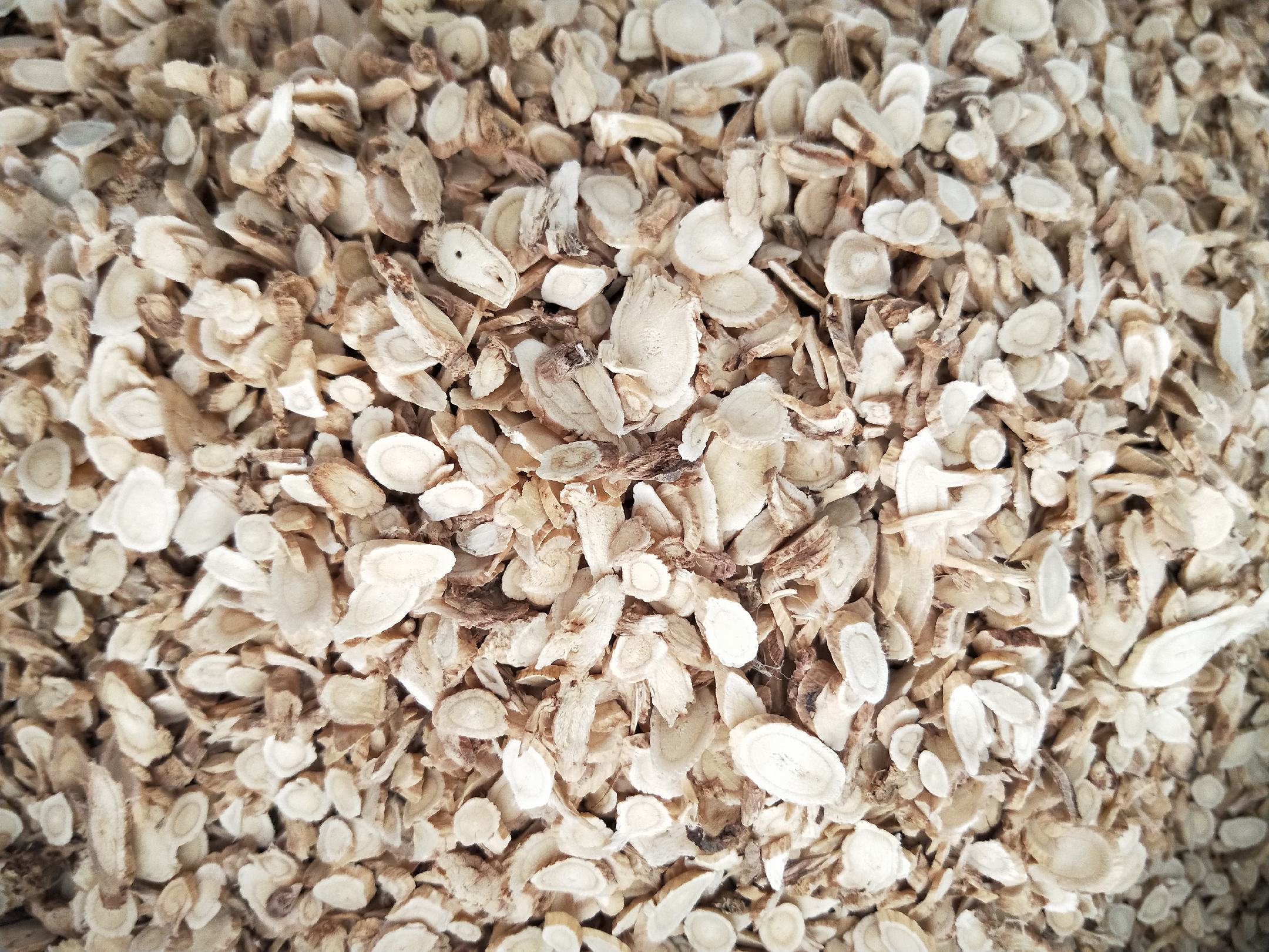 黄芪与黄芩中药材图