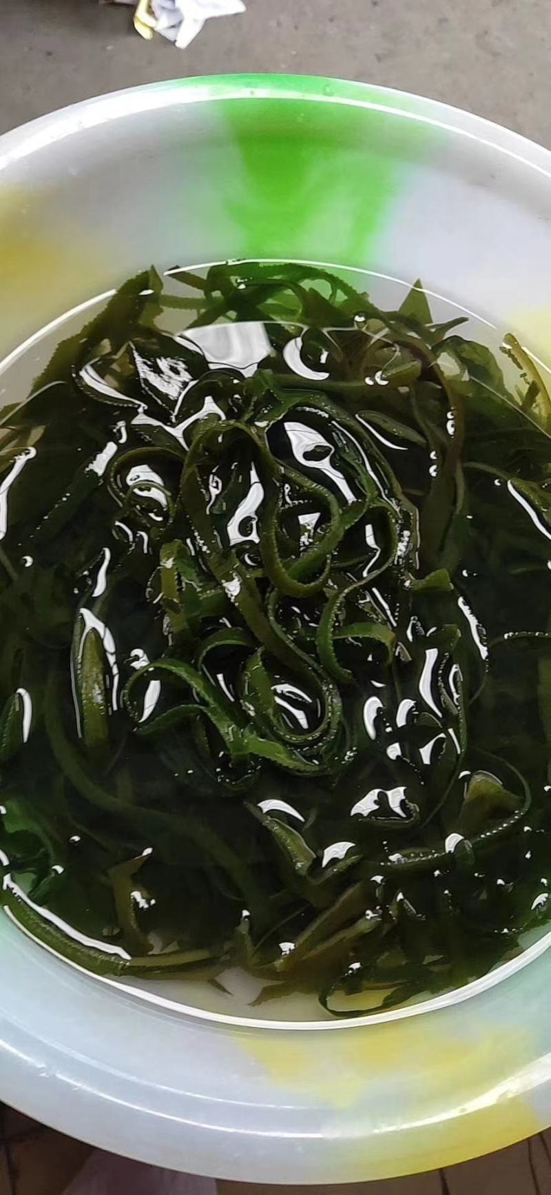 海带丝，凉拌，炖汤，货源，库房大量到货，价格优美