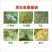 上海悦联尊典5%甲氨基阿维菌素苯甲酸盐小菜蛾杀虫剂